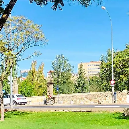 Turistico Puente P3 Bajo - B